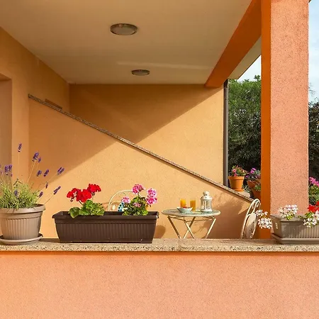New Cozy Nico 2+1 Apartment Pula